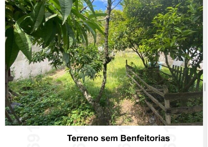 Terreno no Quinta (foto 3 de 6)