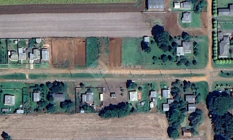 Terreno no Entre Rios (foto 3 de 5)