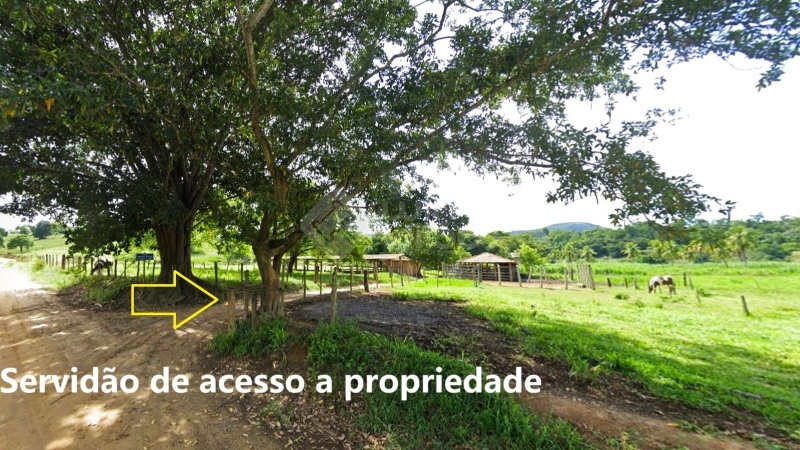 Gleba no Córrego Santa Fé (foto 4 de 7)