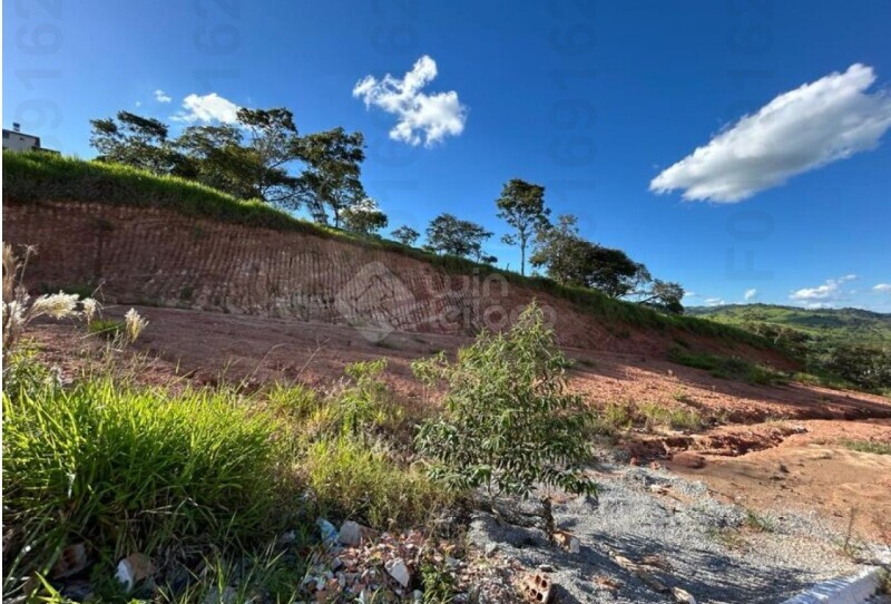 Terreno no Prolongamento do Alto do Rosário I (foto 4 de 5)