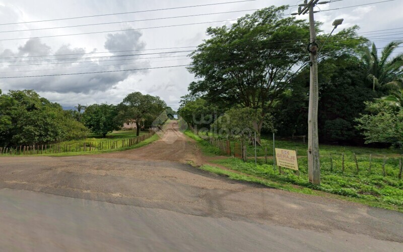 Gleba no Limoeiro, Data Boa Esperança em Esperantina/PI — foto 1
